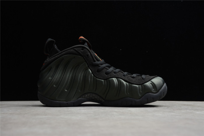 nike air foamposite pro sequoia 624041-304