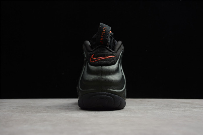 nike air foamposite pro sequoia 624041-304