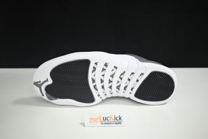 air jordan 12 stealth  ct8025-610