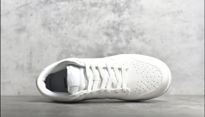 nike sb dunk low white down dh2686-100