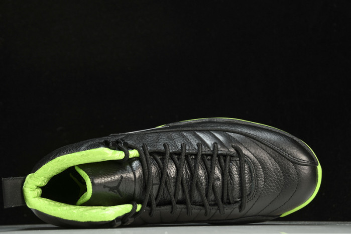 air jordan 12   dr8887-1012