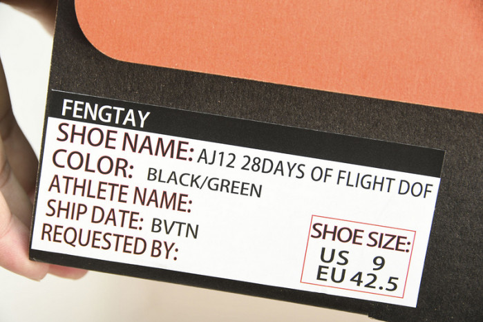 air jordan 12   dr8887-1012