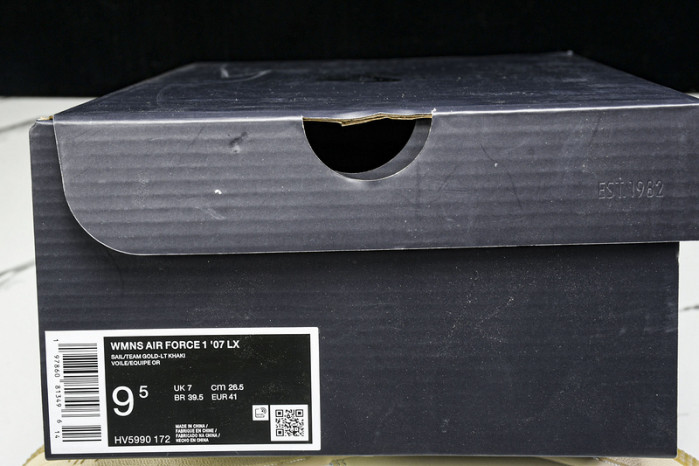 Nike Air Force 1 HV5990-172