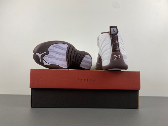 air jordan 12 solefly  fz5026-100