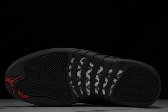 air jordan 12  ct8013-162