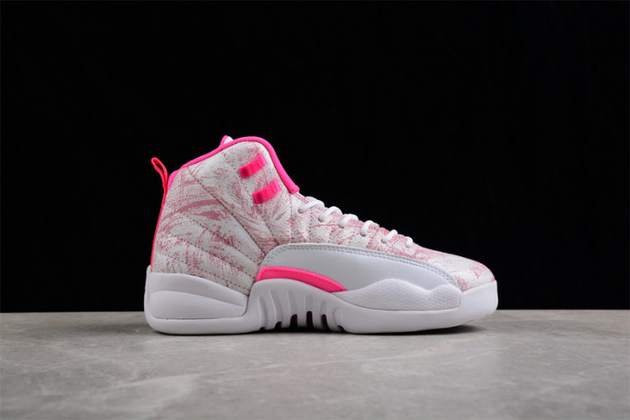 air jordan 12  510815-101